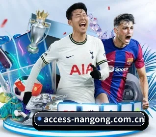 access-nangong.com.cn APP 界面